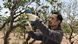 Акумуляторний секатор Pro Pruner (06019K1021) Bosch Professional TLB-05206 фото 8