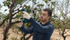 Акумуляторний секатор Pro Pruner (06019K1021) Bosch Professional TLB-05206 фото 11