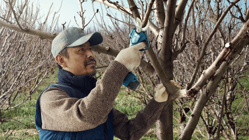 Акумуляторний секатор Pro Pruner + 2 x АКБ GBA 12V 3.0Ah + ЗП GAL 12V-20 Bosch Professional, артикул: 06019K1021, код товару: TLB-05206 фото